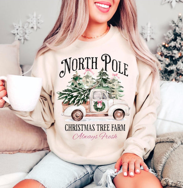 North Pole | Unisex Sweatshirt