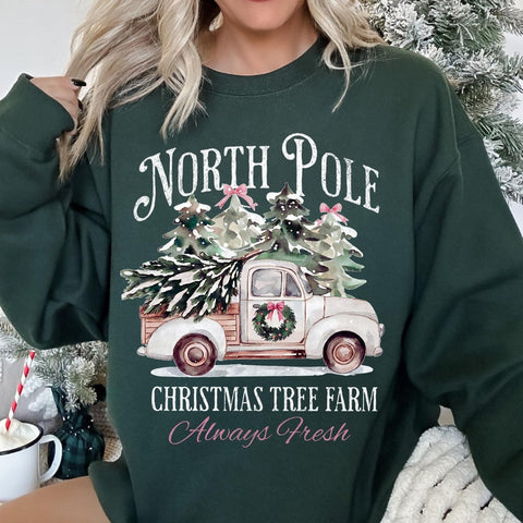 North Pole | Unisex Sweatshirt